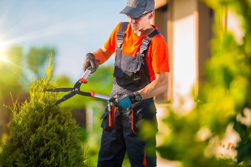 Enhances tree health by removing dead or diseased branches