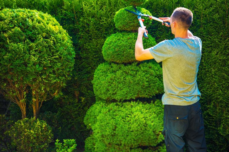 Boosts the aesthetic appeal of your landscape