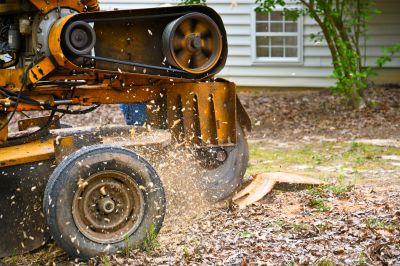 Commercial Stump Grinding in Calvert County, MD